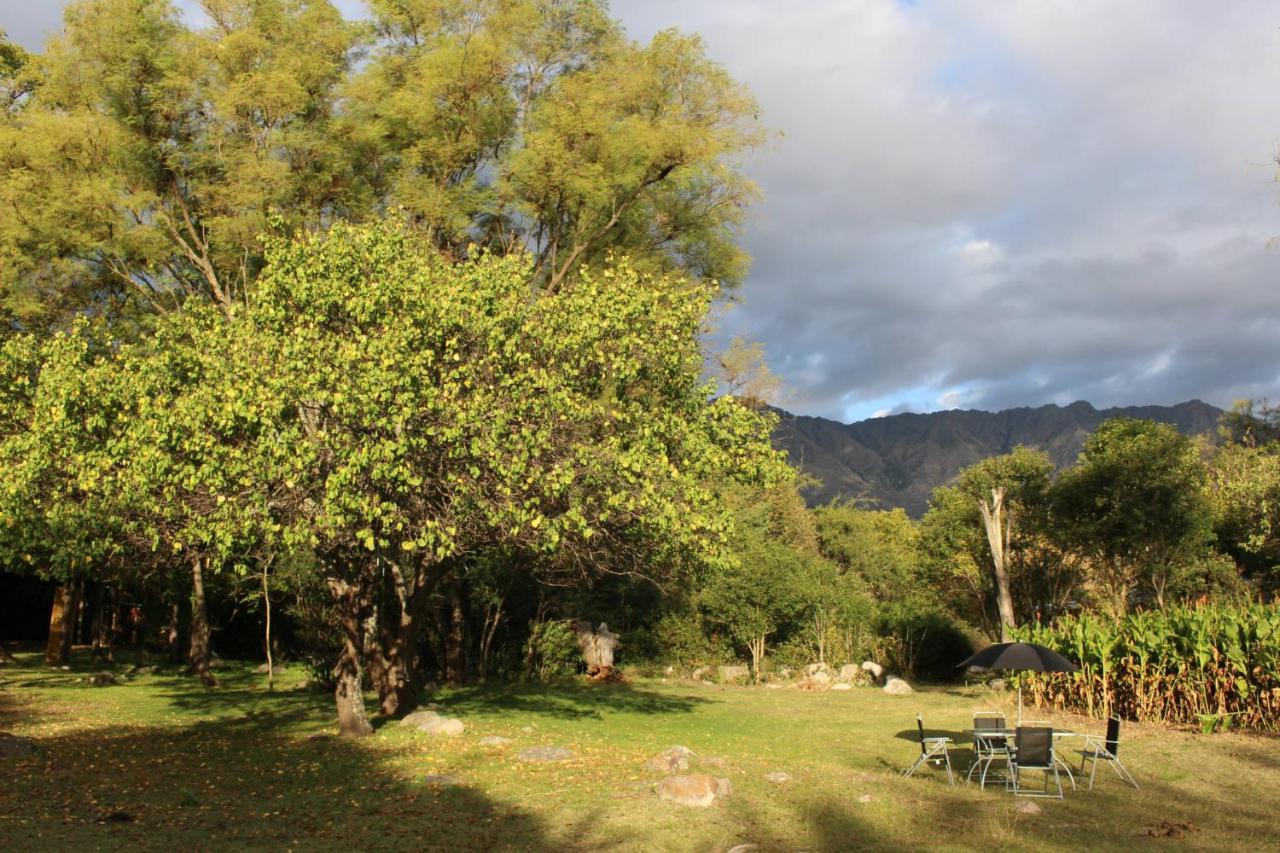 El Algodonal Cabanas Aparthotel Las Rabonas Bagian luar foto