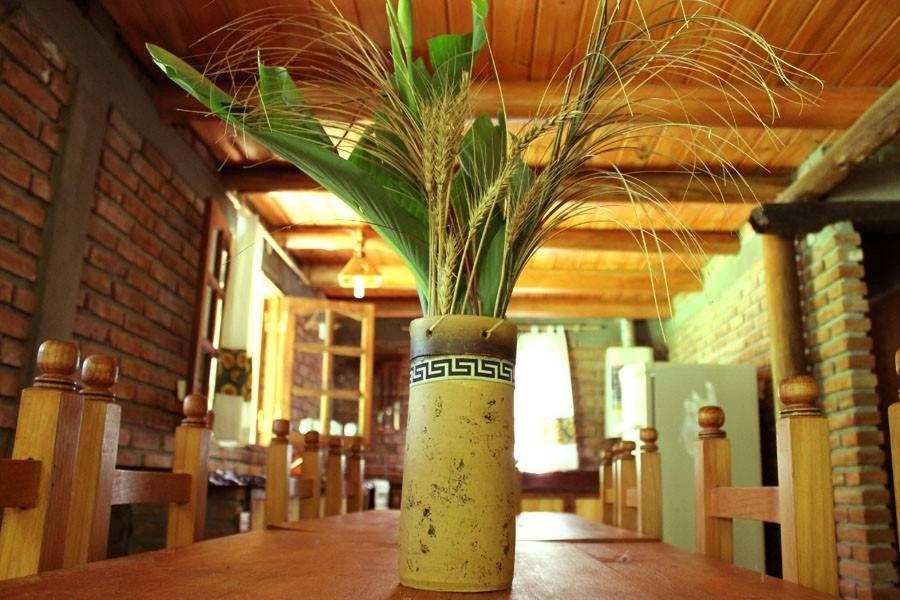 El Algodonal Cabanas Aparthotel Las Rabonas Bagian luar foto